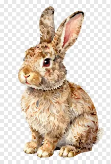 A sitting Easter bunny with mottled fur.