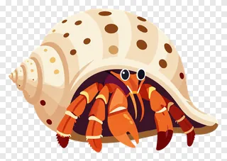 Cartoon hermit crab emerging from a spotted shell.