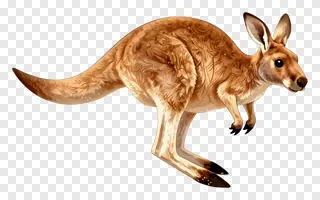 A kangaroo hopping through sand.