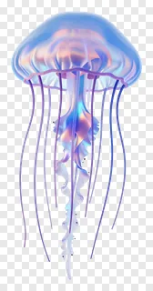 A glowing jellyfish with flowing tentacles.