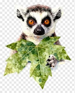 A lemur peeking out from behind a leaf.