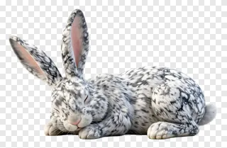A sleeping rabbit with a marble patterned coat.