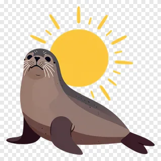 A cartoon monk seal basking in the sun.