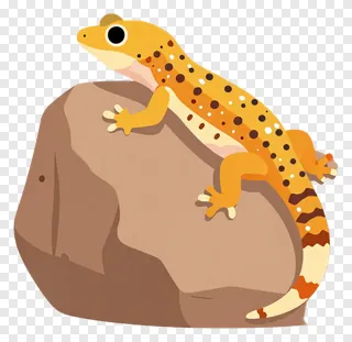 Orange spotted gecko perched on a rock.