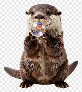 A small otter holding a bubble with its paws.