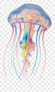 A colorful jellyfish floating with translucent tentacles.