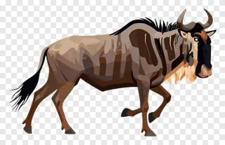 A wildebeest running on a plain white background.