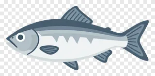 A silver fish swimming in water.