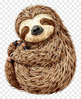 A sleepy sloth hugging itself with closed eyes.
