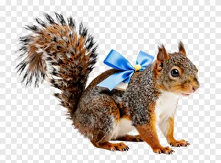 A squirrel wearing a blue bow.