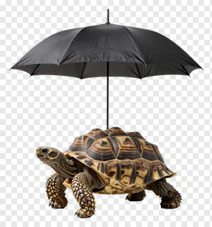 A tortoise holding a black umbrella.
