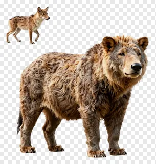 Two animals: one large furry creature and one small spotted canid.