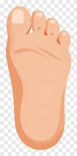 A cartoon illustration of a human foot with peach-colored skin.