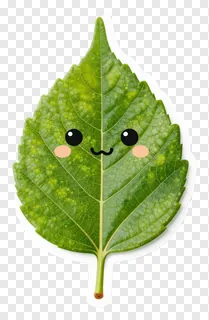 A smiling green leaf with cartoon eyes and cheeks.