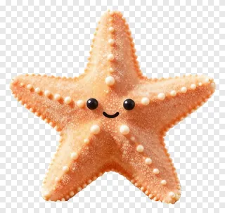 A cute orange starfish with a smiling face.
