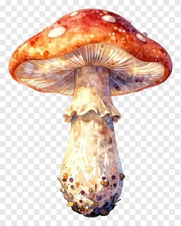 A glowing mushroom with a red cap and white spots.