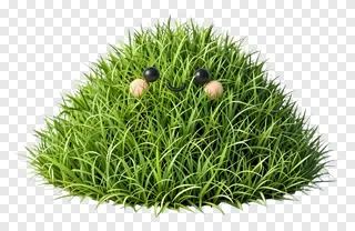 A smiling grassy mound with cartoon eyes.