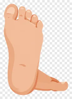 Illustration of a single cartoon foot with smooth skin and no background.