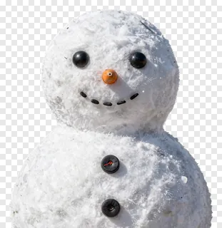 A snowman with an orange nose and black buttons.