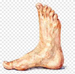 A watercolor painting of a bare human foot.