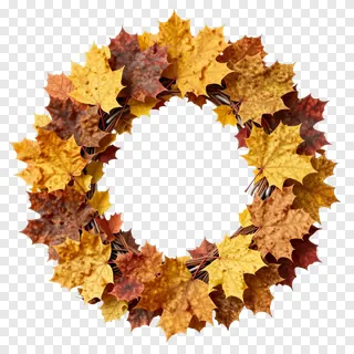 Circular wreath of autumn maple leaves.