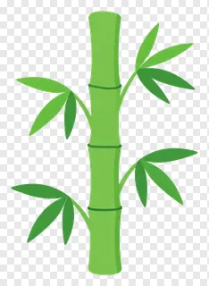 Bamboo stalk with green leaves.