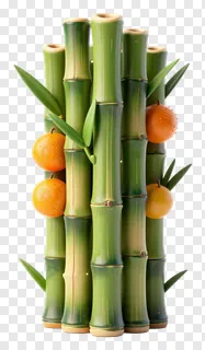 Green bamboo stalks decorated with oranges.