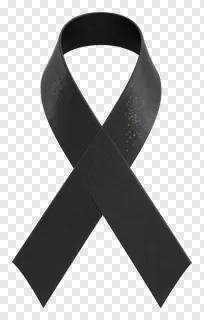 A black ribbon with a textured surface.