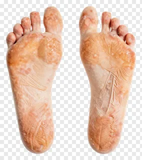 A pair of carved stone footprints with leaf designs.