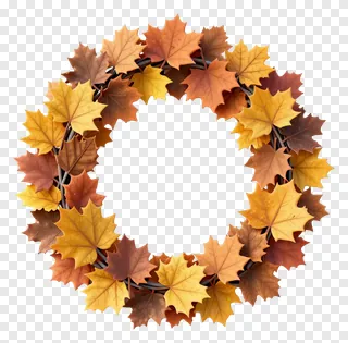 Circular wreath made of autumn maple leaves.