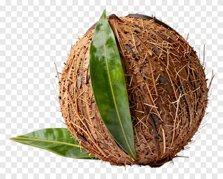 Coconut kalash decorated with mango leaves.