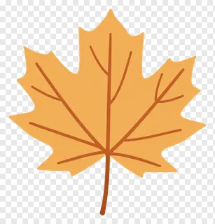 A single orange maple leaf with brown veins.