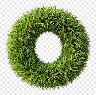 Circular wreath composed of green grass blades.