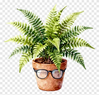 Potted fern wearing eyeglasses on white background.