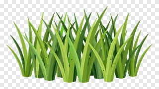 A stylized clump of vibrant green grass.