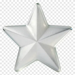 Frosted glass star ornament with textured surface.