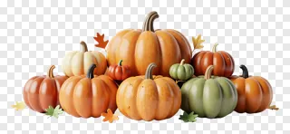 A collection of glossy ceramic pumpkins with scattered leaves.