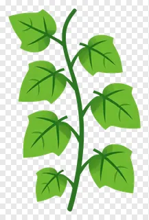 Green leafy vine with curved stems.