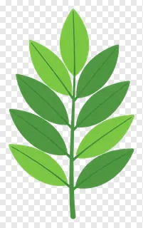 Green neem leaf ornament design