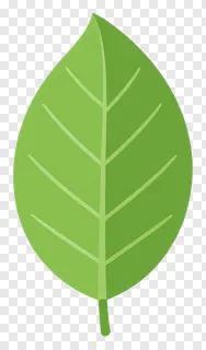 A mango leaf toran decoration.