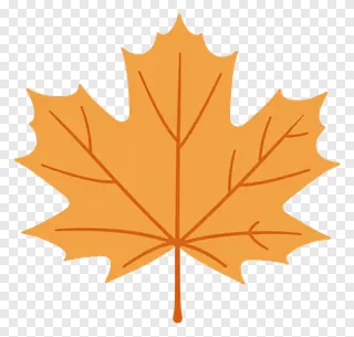 An orange maple leaf with detailed veins.