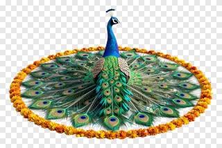 A peacock with spread tail feathers surrounded by marigold flowers.
