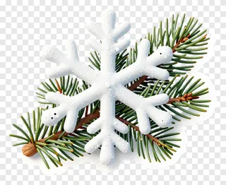A white snowflake on a pine branch.