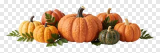 A cluster of ceramic pumpkins with textured surfaces and ferns.