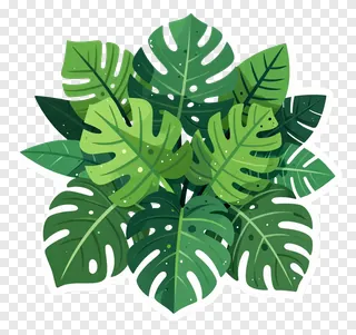 A cluster of vibrant green tropical leaves.