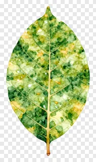 A mango leaf toran with mottled green and yellow colors.