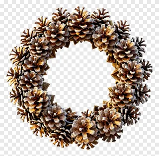 A dense wreath of frosted pinecones.