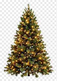 A decorated Christmas tree with string lights.