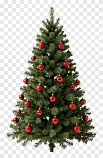 A decorated Christmas tree with red baubles.