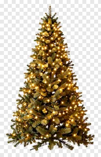 A decorated Christmas tree with warm lights.